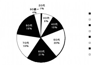 年齢層円グラフ